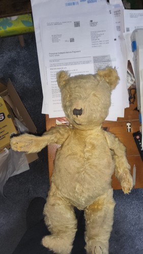 Antique mohair teddy bear - antique,