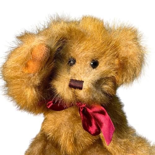 Progressive peters teddy - st.,
