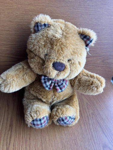 Super soft toy - super, teddy