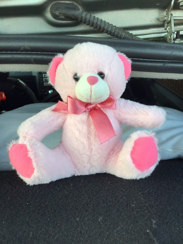 Pink plush teddy - pink, bow