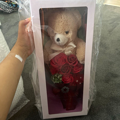 Boxed beige plush teddy bear - boxed,