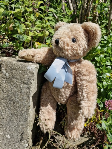 Vintage jointed teddy - jointed, bear