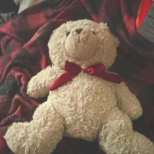 Tan plush teddy bear - tan,