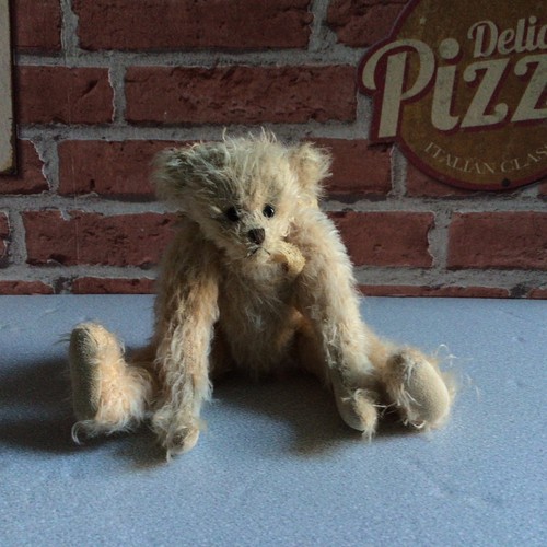 Sweet little mohair artist - little,