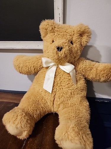 Vermont teddy bear - teddy,