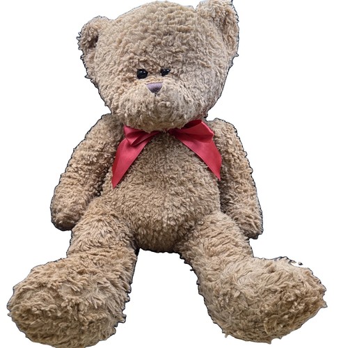 Walgreens brown plush - 12",