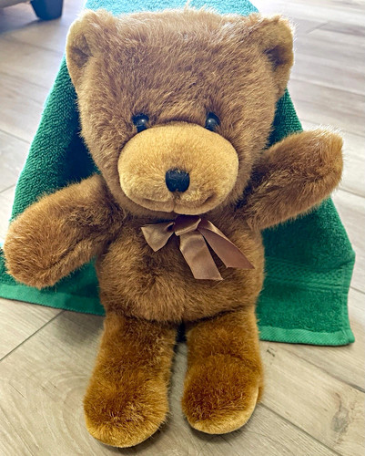 Soft brown teddy bear - brown, plush