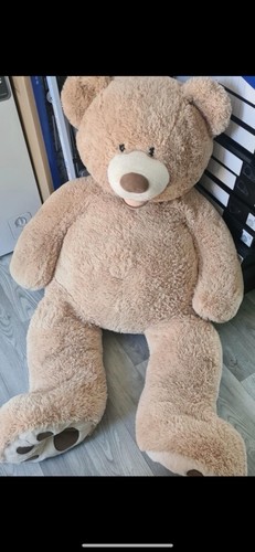 Teddy bear - teddy,