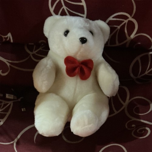 White teddy bear plush - white, w/