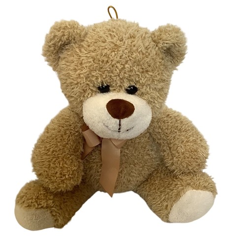 Burton plush teddy - &,