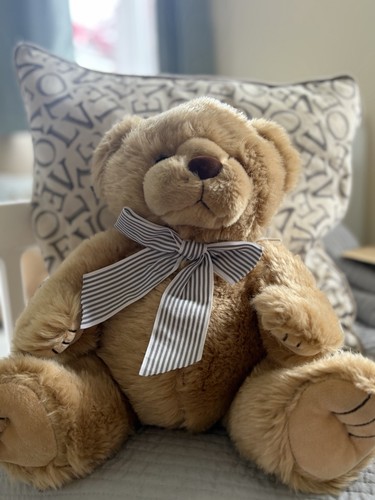 Traditional teddy bear soft - bear,