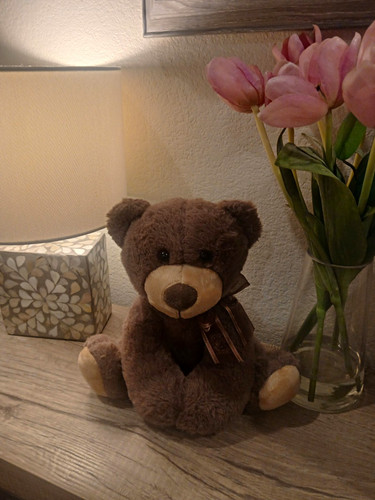 Brown beige plush teddy - beige, bear