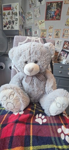 Large grey white plush teddy - &,