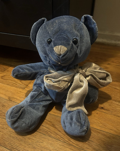 Blue plush teddy bear - blue,
